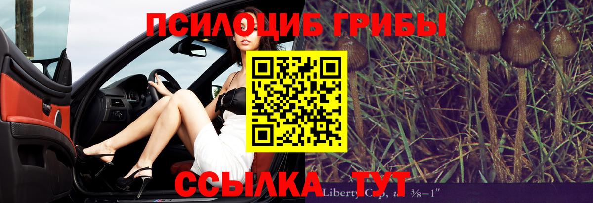 Донецк  Галлюциногенные грибы прущие грибы  Вход с VPN 